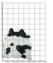 Načíst obrázek do prohlížeče Galerie, Černá a bílá hovězí kůže L