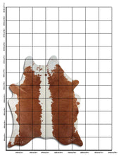Načíst obrázek do prohlížeče Galerie, Hnědá hovězí kůže XL