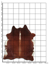 Načíst obrázek do prohlížeče Galerie, Hnědá hovězí kůže XL