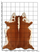 Načíst obrázek do prohlížeče Galerie, Hnědá hovězí kůže XXXL