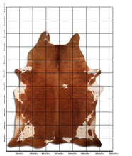 Načíst obrázek do prohlížeče Galerie, Hnědá hovězí kůže XXXXL