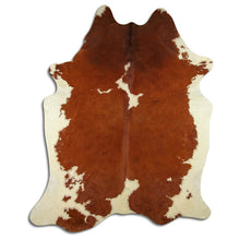 Načíst obrázek do prohlížeče Galerie, Hnědá hovězí kůže XXL