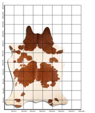 Načíst obrázek do prohlížeče Galerie, Hnědá hovězí kůže XXXL