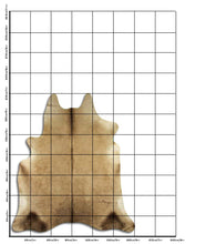 Načíst obrázek do prohlížeče Galerie, Šampaňská hovězí kůže L