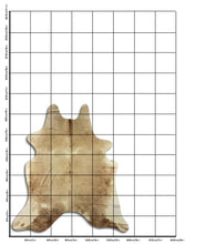 Načíst obrázek do prohlížeče Galerie, Šampaňská hovězí kůže M