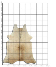 Načíst obrázek do prohlížeče Galerie, Šampaňská hovězí kůže XL