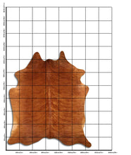 Načíst obrázek do prohlížeče Galerie, Exotická hovězí kůže XL
