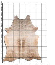 Načíst obrázek do prohlížeče Galerie, Exotická hovězí kůže XXXL