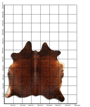 Načíst obrázek do prohlížeče Galerie, Exotická hovězí kůže L