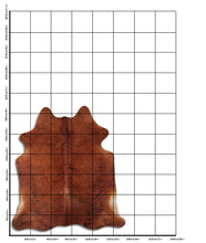 Načíst obrázek do prohlížeče Galerie, Exotická hovězí kůže L