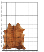 Načíst obrázek do prohlížeče Galerie, Exotická hovězí kůže L