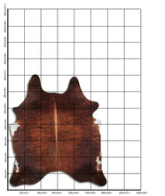 Načíst obrázek do prohlížeče Galerie, Exotická hovězí kůže L