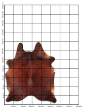 Načíst obrázek do prohlížeče Galerie, Exotická hovězí kůže L