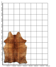 Načíst obrázek do prohlížeče Galerie, Exotická hovězí kůže M
