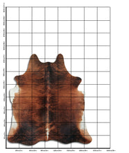 Načíst obrázek do prohlížeče Galerie, Exotická hovězí kůže XL
