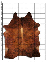 Načíst obrázek do prohlížeče Galerie, Exotická hovězí kůže XXXL