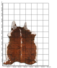 Načíst obrázek do prohlížeče Galerie, Exotická hovězí kůže XXL