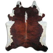 Načíst obrázek do prohlížeče Galerie, Exotická hovězí kůže "Belly Backbone" XXXL