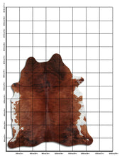 Načíst obrázek do prohlížeče Galerie, Exotická hovězí kůže XL