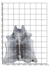 Įkelti vaizdą į galerijos rodinį, Salt and Pepper egzotinis karvės kailis XL