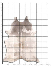 Įkelti vaizdą į galerijos rodinį, Pilkas karvės kailis XXL