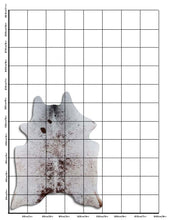 Įkelti vaizdą į galerijos rodinį, Salt and Pepper egzotinis karvės kailis L