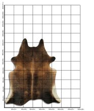Načíst obrázek do prohlížeče Galerie, Hnědá hovězí kůže XL