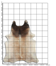 Įkelti vaizdą į galerijos rodinį, Šampaninis karvės kailis XXL