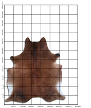 Įkelti vaizdą į galerijos rodinį, Egzotinis karvės kailis XL