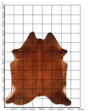 Načíst obrázek do prohlížeče Galerie, Hnědá hovězí kůže XXL