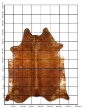 Načíst obrázek do prohlížeče Galerie, Hnědá hovězí kůže XXXL