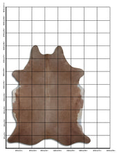 Įkelti vaizdą į galerijos rodinį, Šampaninis karvės kailis XXL