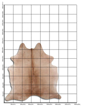 Načíst obrázek do prohlížeče Galerie, Šampaňská hovězí kůže L