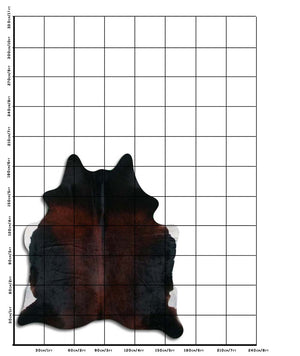 Tricolour cowhide rug L