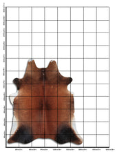 Načíst obrázek do prohlížeče Galerie, Hnědá hovězí kůže L