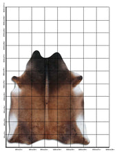 Načíst obrázek do prohlížeče Galerie, Hnědá hovězí kůže XL