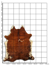 Načíst obrázek do prohlížeče Galerie, Exotická hovězí kůže L