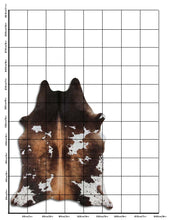 Načíst obrázek do prohlížeče Galerie, Hnědá hovězí kůže XL