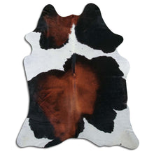 Načíst obrázek do prohlížeče Galerie, Tříbarevná hovězí kůže XL