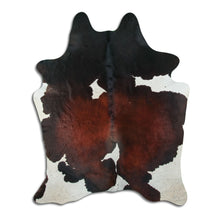 Načíst obrázek do prohlížeče Galerie, Tříbarevná hovězí kůže XL