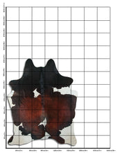 Načíst obrázek do prohlížeče Galerie, Tříbarevná hovězí kůže XL