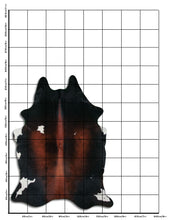 Načíst obrázek do prohlížeče Galerie, Tříbarevná hovězí kůže XL