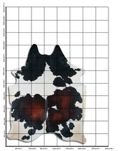 Načíst obrázek do prohlížeče Galerie, Tříbarevná hovězí kůže XXL