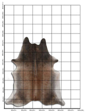 Načíst obrázek do prohlížeče Galerie, Hnědá hovězí kůže XL