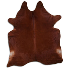 Načíst obrázek do prohlížeče Galerie, Hnědá hovězí kůže XXXL