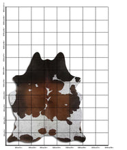 Načíst obrázek do prohlížeče Galerie, Hnědá hovězí kůže XL