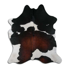 Načíst obrázek do prohlížeče Galerie, Tříbarevná hovězí kůže XL