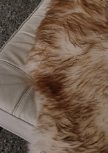 Načíst obrázek do prohlížeče Galerie, Muflono avikailis iš arti