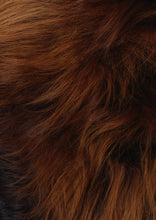 Načíst obrázek do prohlížeče Galerie, Islandiškas avikailis Rusty iš arti