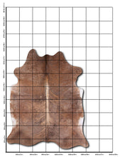 Načíst obrázek do prohlížeče Galerie, Exotická hovězí kůže XL